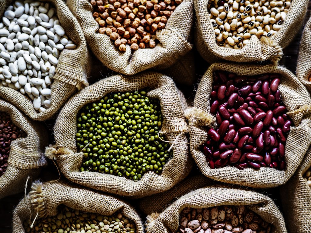 All types of Beans